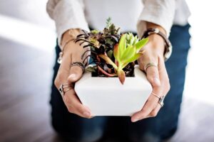 Presentes para o Dia das Mães: Mini Suculentas